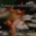 Local discreet mature women
